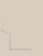 Unisex Oversized Standard T-Shirt