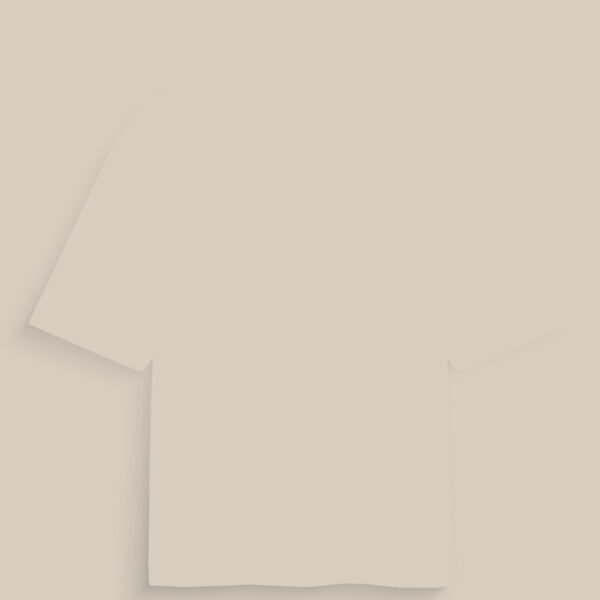 Unisex Oversized Standard T-Shirt